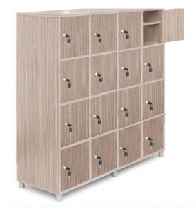 Tủ TJ-16G có  khóa