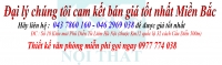 Hướng dẫn mua hàng